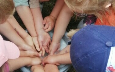 IMG_20240607_100426