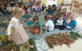 IMG_20231018_093349829