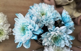 IMG_20260325_090044274_HDR