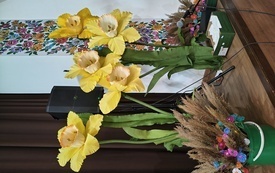 IMG_20260327_095828379_HDR